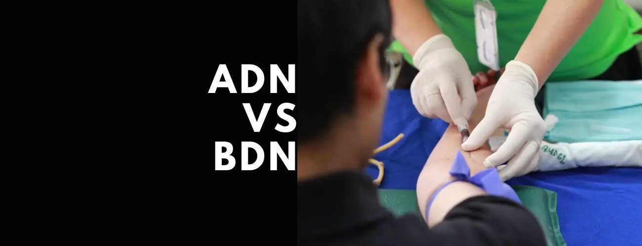 ADN vs BSN