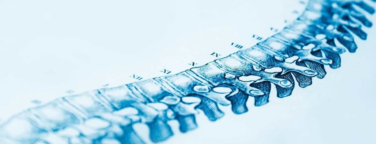 Council on Chiropractic Education (CCE) Council on Chiropractic Education (CCE)