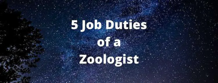 Job Duties of a Zoologist