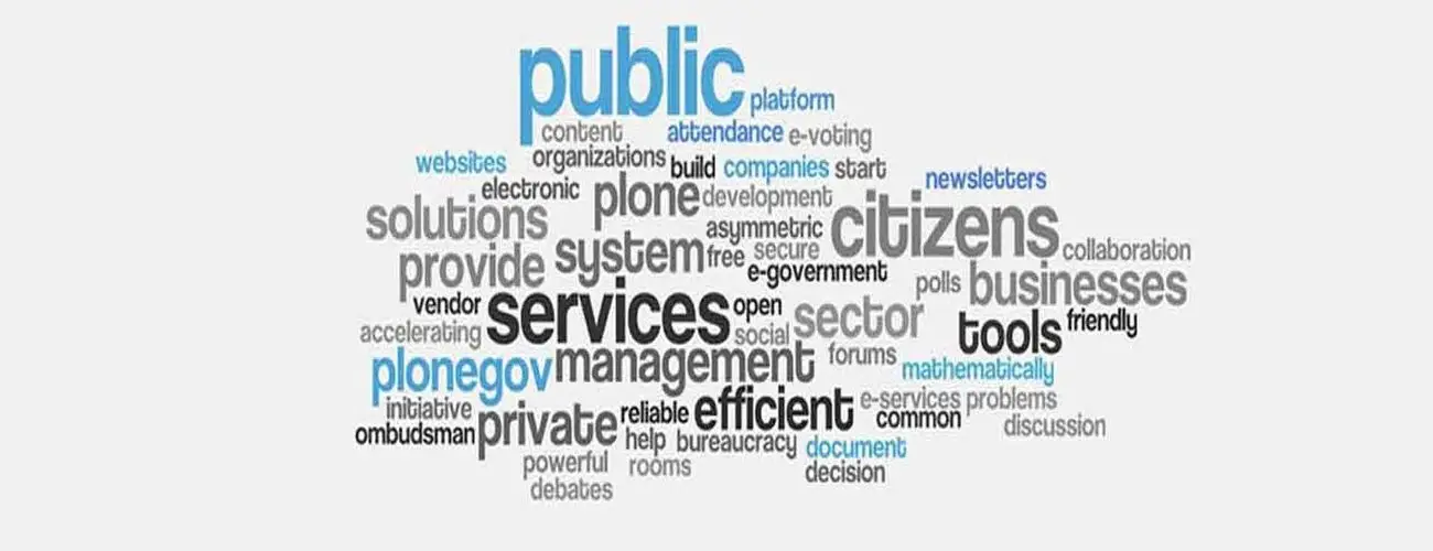 Network of Schools of Public Policy, Affairs, and Administration, Commission on Peer Review and Accreditation (NASPAA)