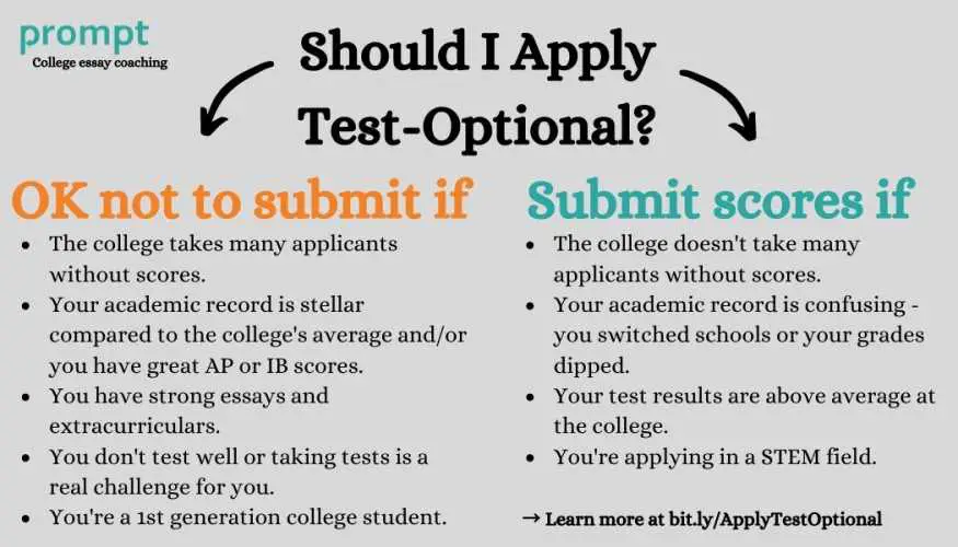 Test Optional Colleges 2025: What It Really Means for You