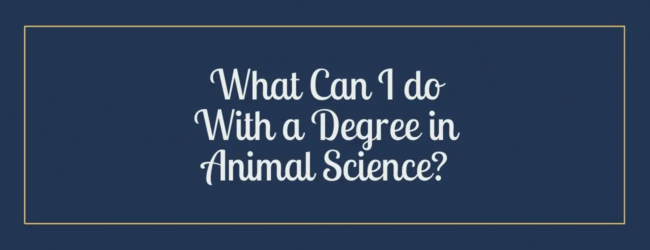 What Can I do With a Degree in Animal Science?