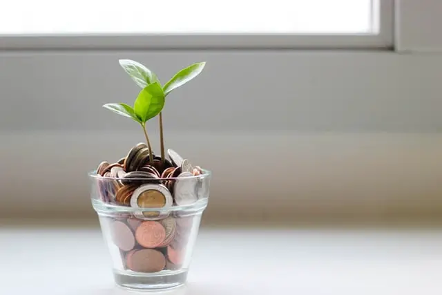 Coins in a jar with a seedling
