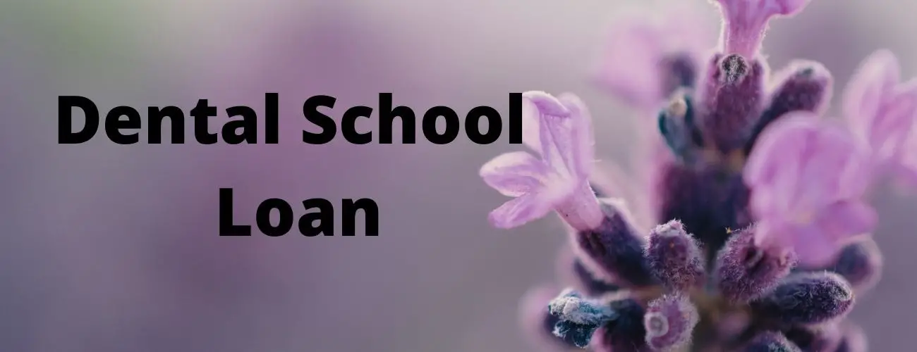 Dental School Loans Dental School Loans