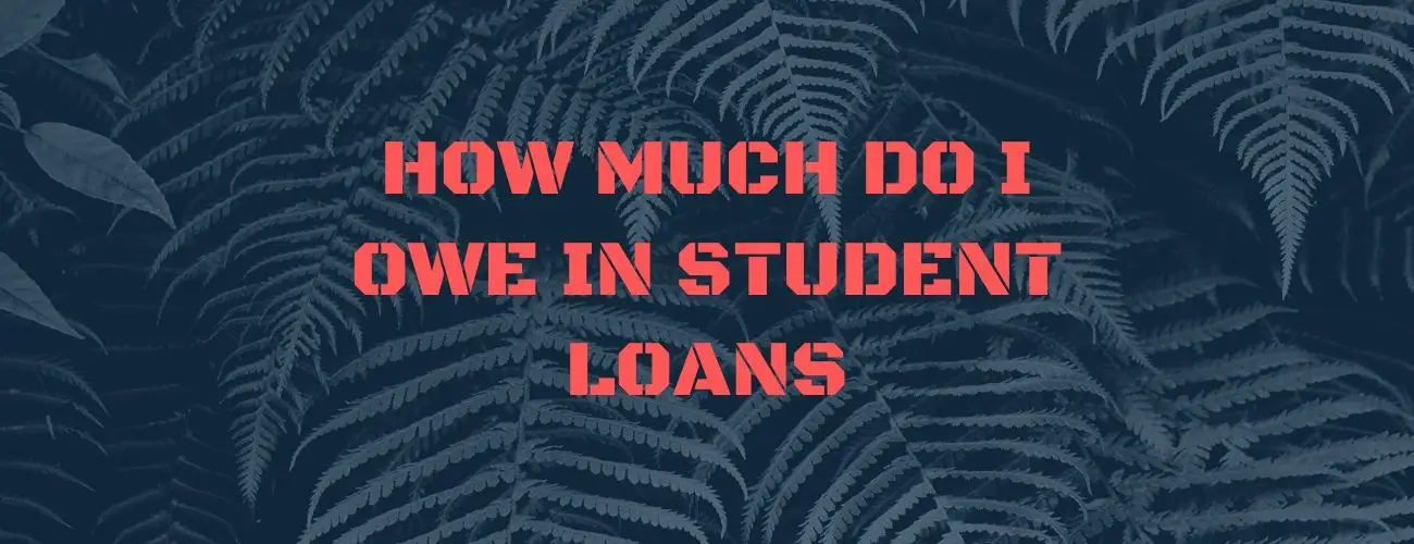 How Much Do I Owe In Student Loans: Ways to keep track!