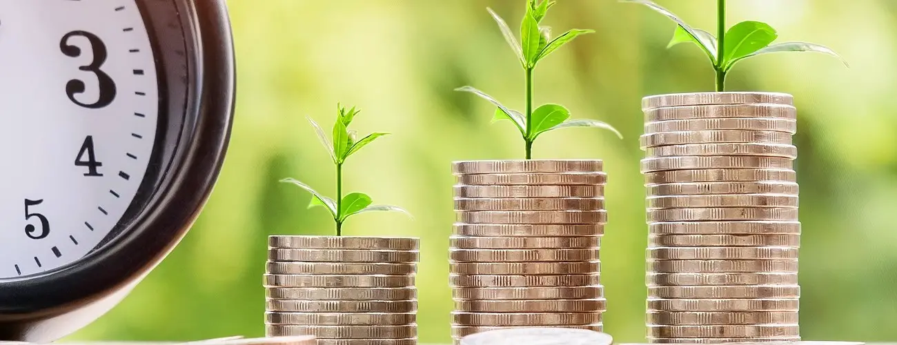 Income-Contingent Repayment Plan (ICR)