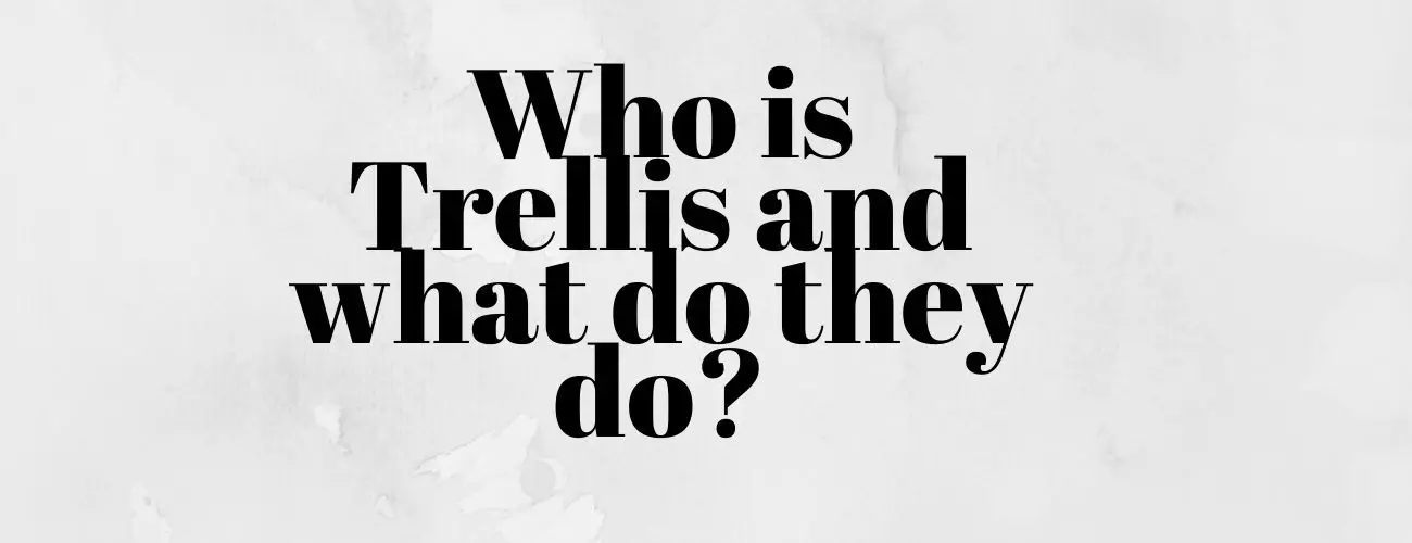 Trellis Company - What do they do? [Explained]