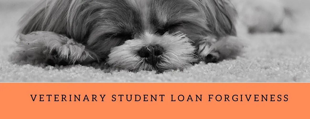 Veterinary Student Loan Forgiveness
