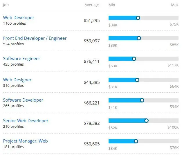 Web Developer