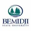 Bemidji State University (BSU)