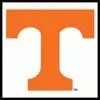 The University of Tennessee (UT)
